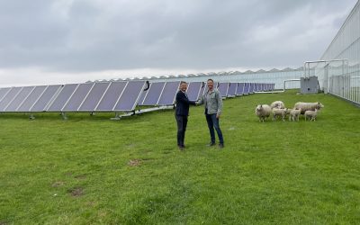 LTO Ledenvoordeel en Next Source bieden veehouderij en glastuinbouw voordelen van zonne-energie