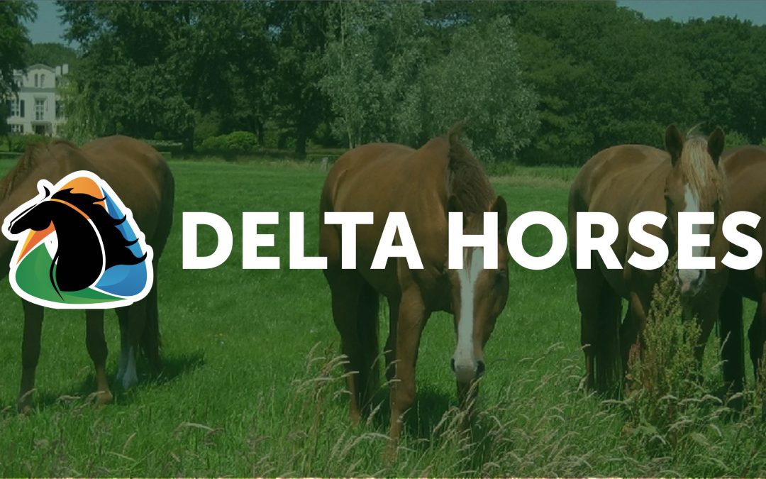 Berrie de Mik verlaat Delta Horses om zich volledig te richten op de tuinbouw